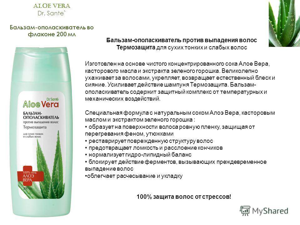 Маски для волос с алоэ - 32 лучших маски - natural-cosmetology.ru
