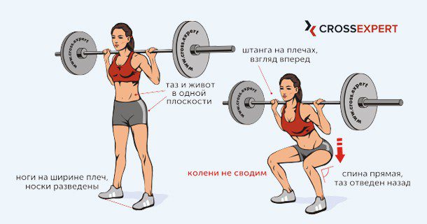 Как правильно делать приседания для ягодиц со штангой или гантелями для девушек