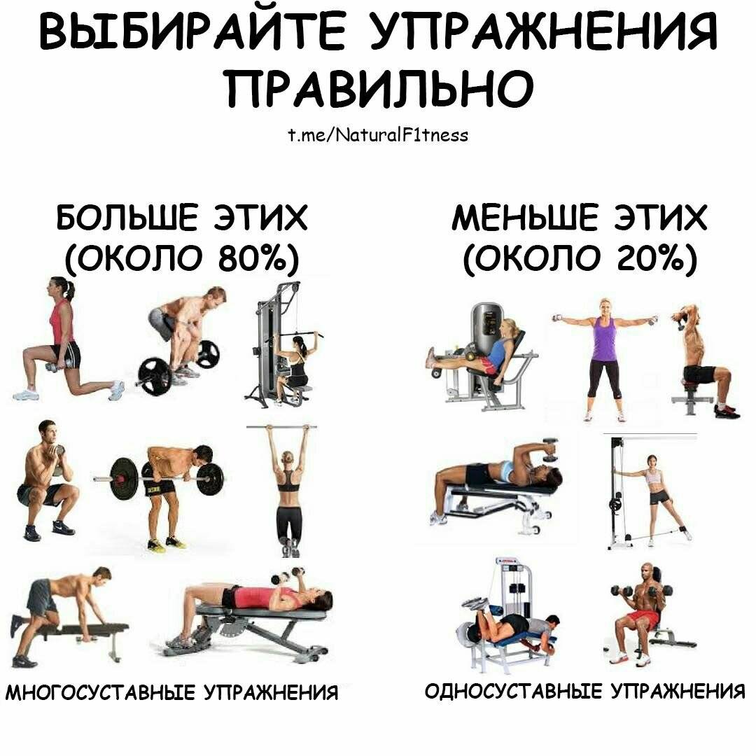 Упражнения в тренажерном зале на плечи. упражнения на плечи в тренажерном зале для девушек