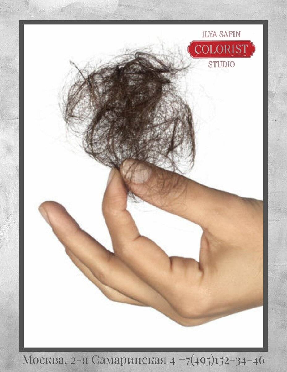 Норма выпадения волос у женщин при мытье и расчесывании, сколько волос выпадает в сутки
