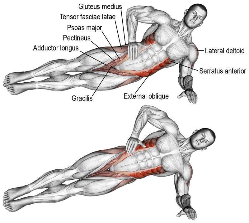 Упражнения для поперечной мышцы живота для женщин и мужчин