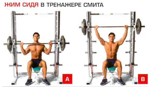 Жим в тренажере сидя. упражнения для грудных мышц - tony.ru
