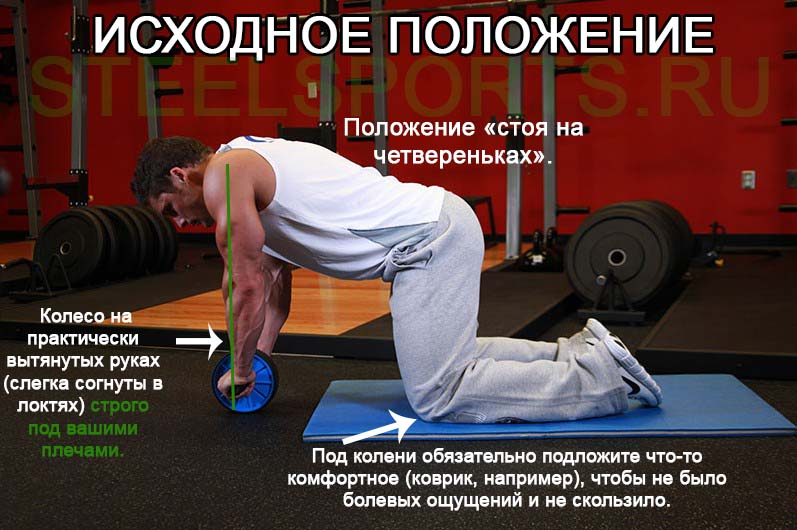 Упражнения с роликом для пресса мужчинам и женщинам: 12 упражнений сидя, лежа, стоя (фото/видео инструкция)