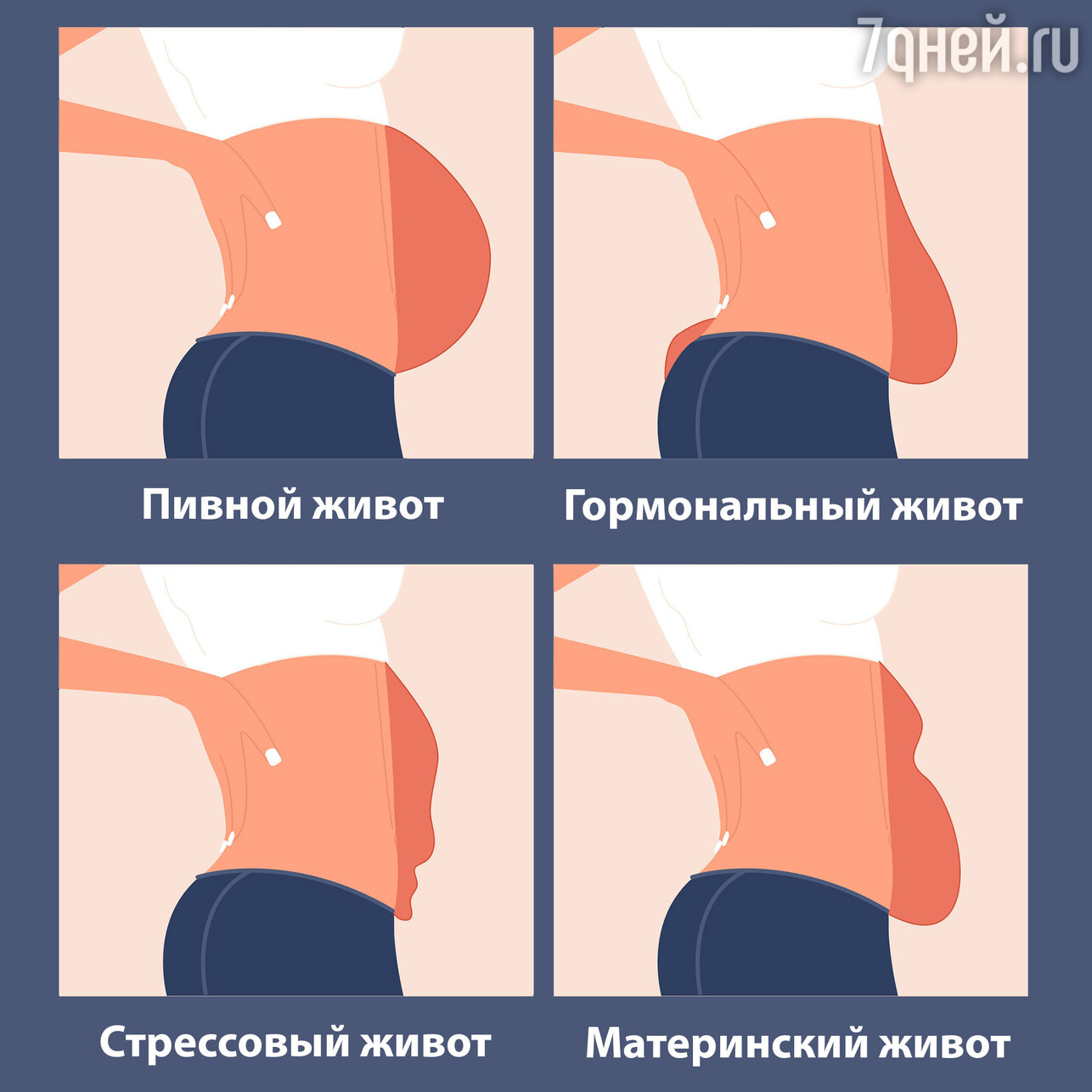 Кортизоловый живот - почему появляется и как избавиться? | balproton.ru