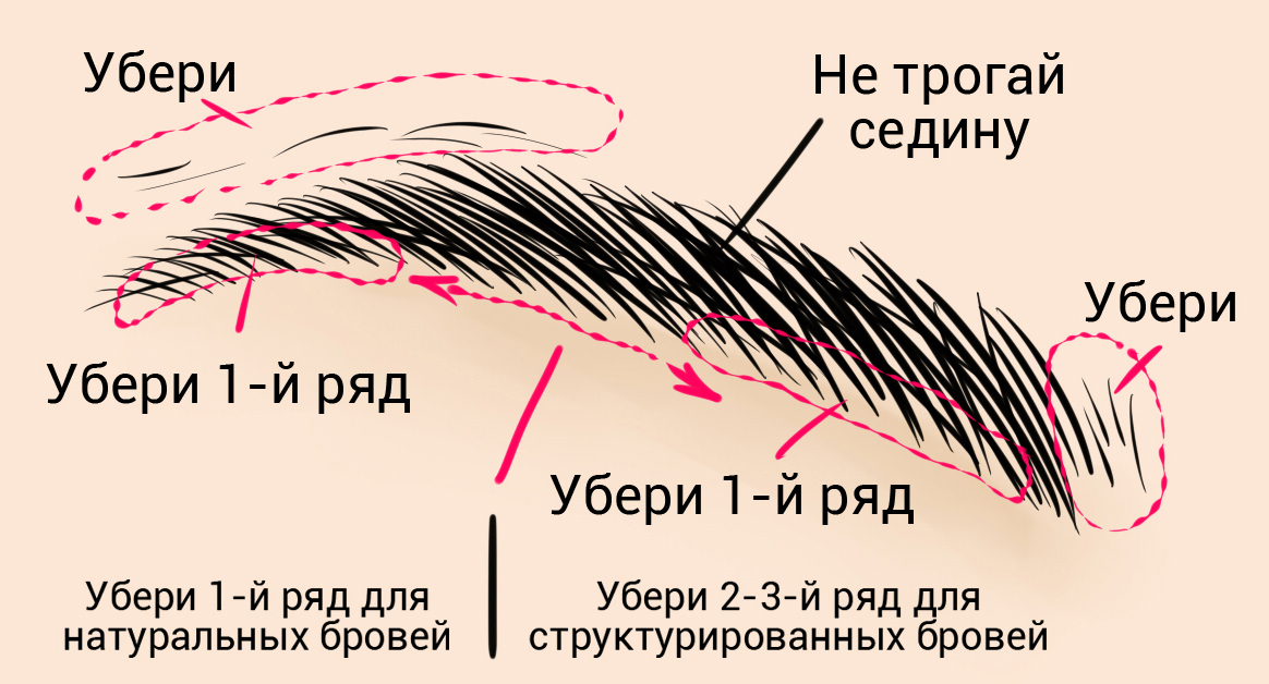 Как правильно выщипывать брови в домашних условиях: фото, способы удаления ненужных волосков и пошаговая инструкция - luv.ru
