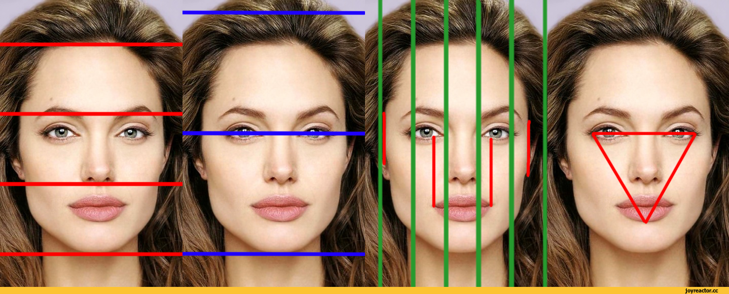 Симметричные черты лица. Правильное симетрия лица. Идеальные черты лица. Красивые пропорции лица.