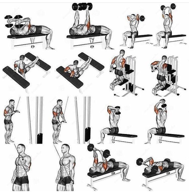 21 упражнение для мышц пресса и спины в домашних условиях