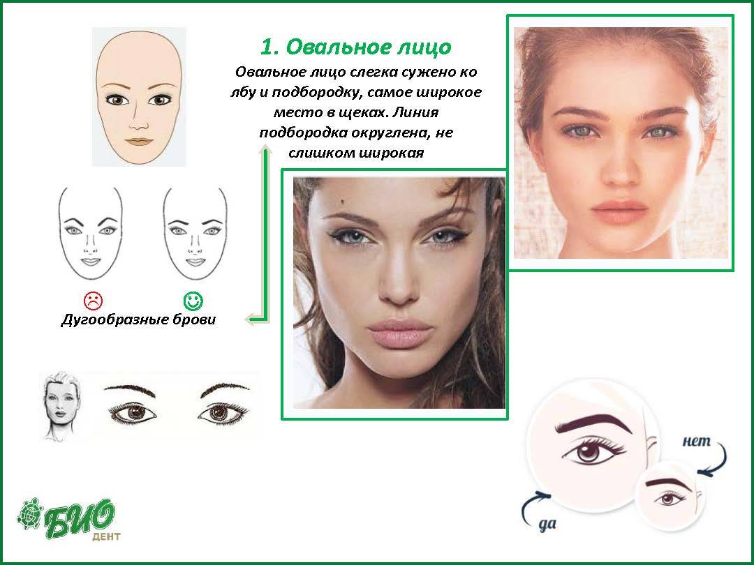Брови для овального лица: как подобрать, способы коррекции - janet.ru