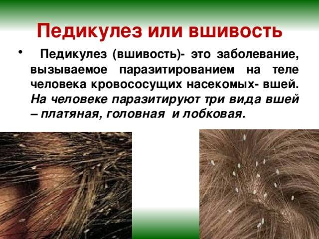 Болит кожа головы при прикосновении к волосам: причины, методы профилактики, диагностики и лечения | ким