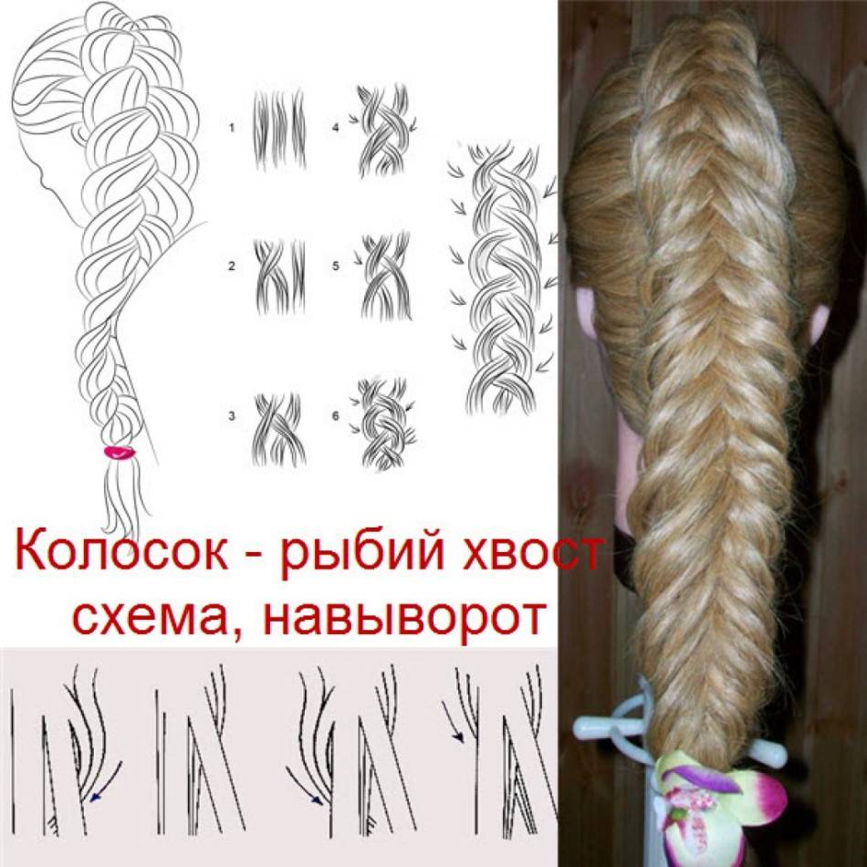 Французская коса наоборот - практичный вариант прически на все случаи жезни :: syl.ru