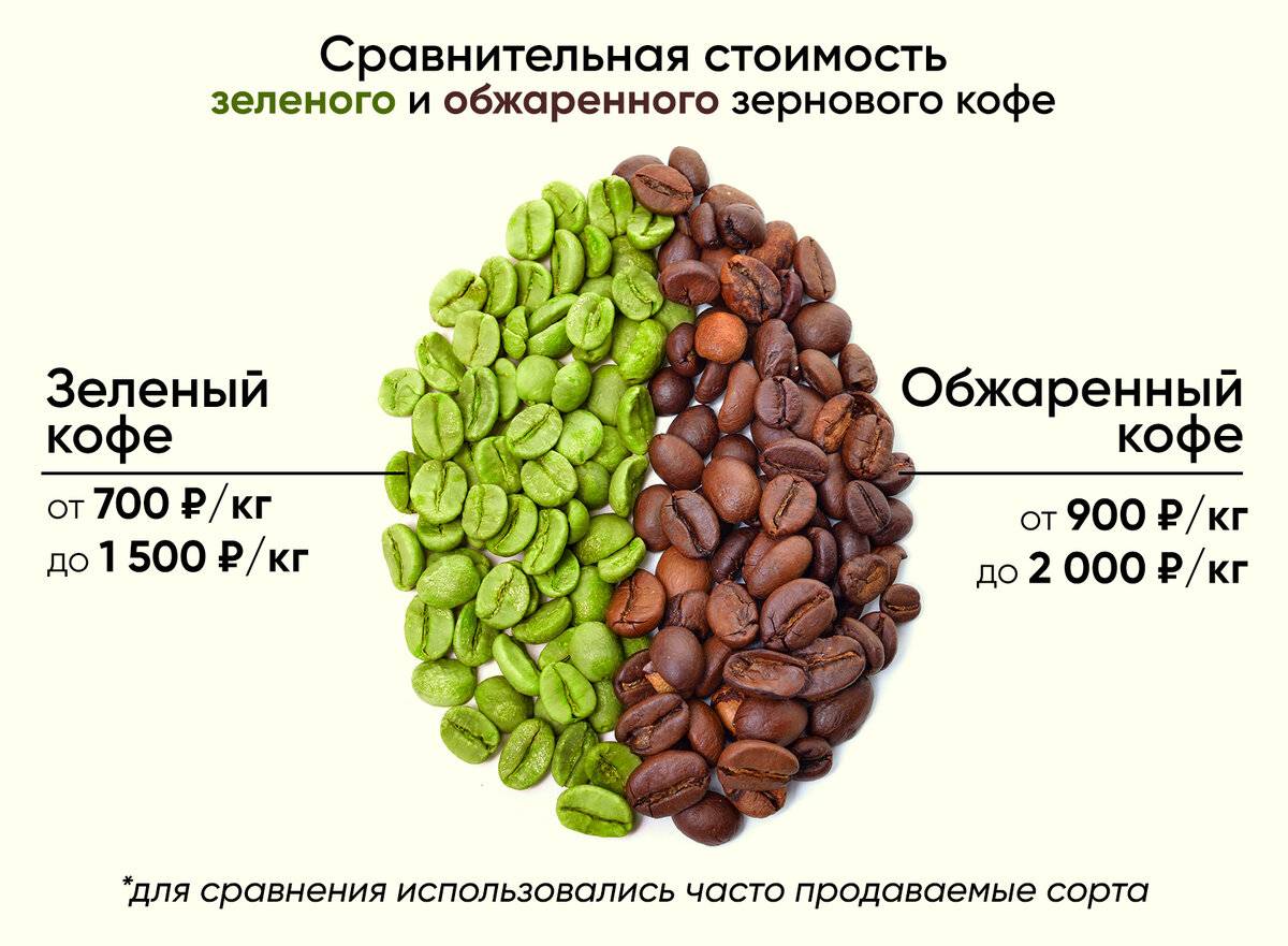 Что собой представляет зеленый кофе и действительно ли он эффективен для похудения?
