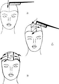 Разделение волос на зоны: инструкция для парикмахера