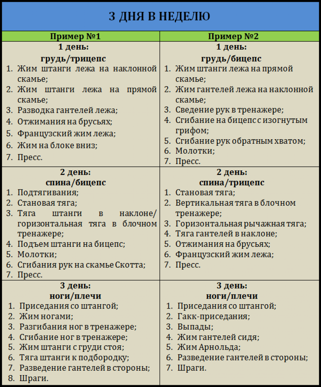 План тренировок в спортзале для мужчин на неделю