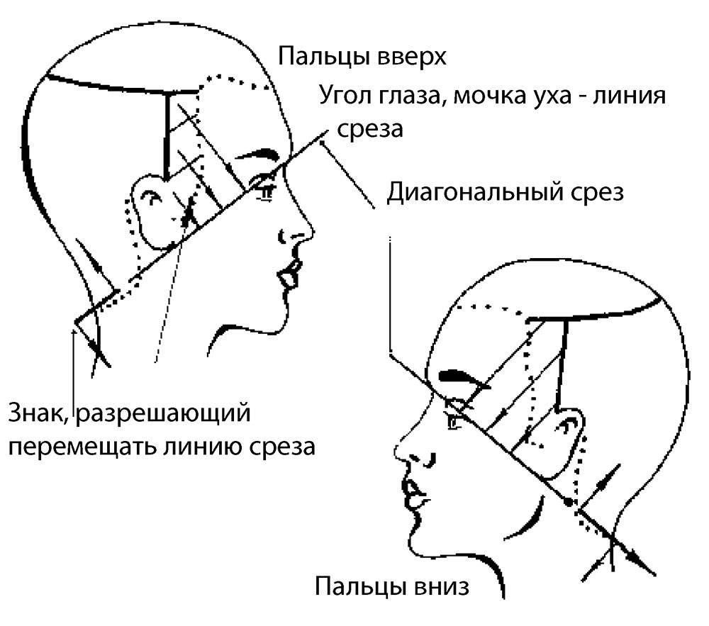 Височная зона. Стрижка висков схема. Окантовка висков. Формы окантовки висков. Окантовка висков схема.