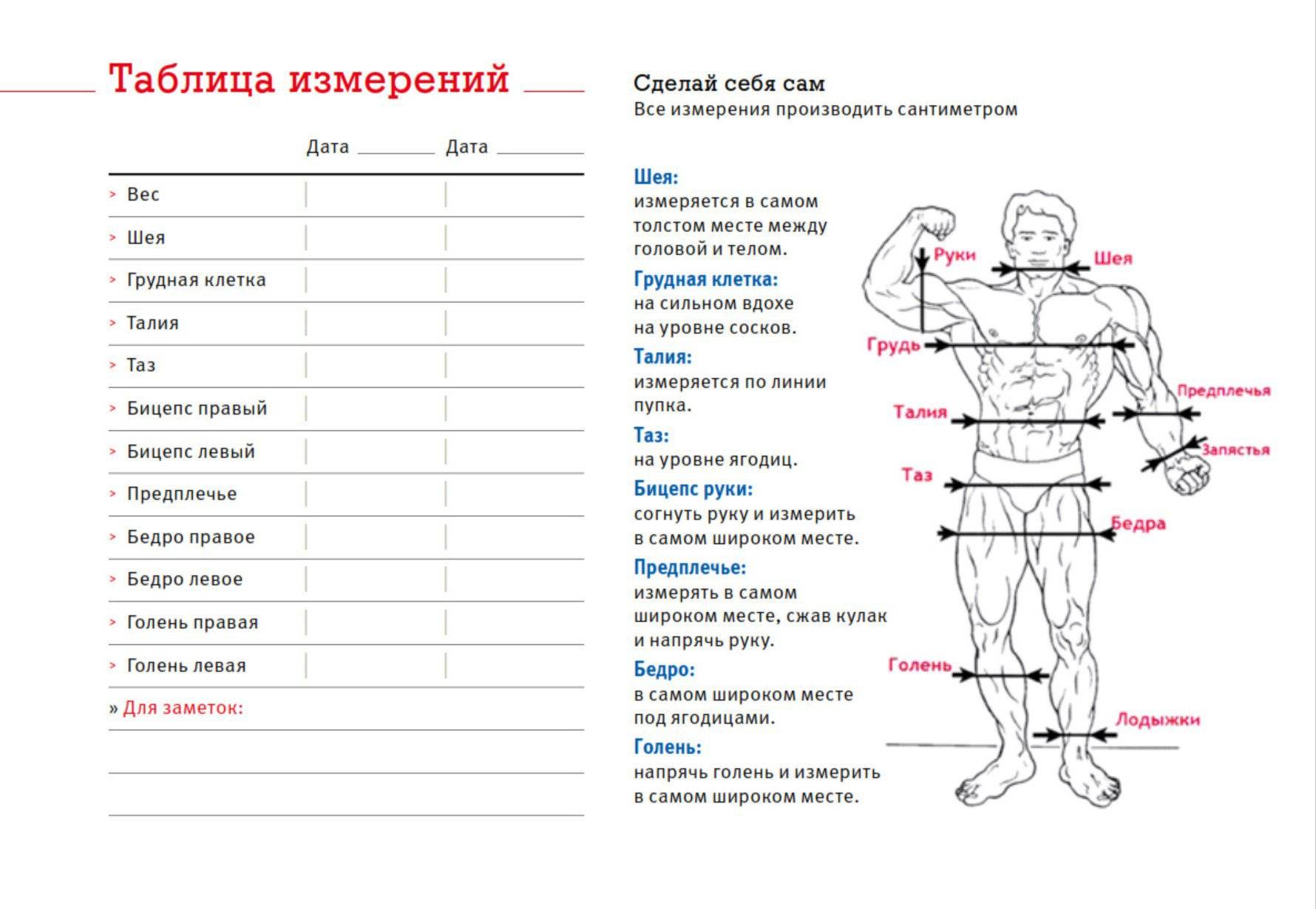 Как правильно производить замеры. Таблица для замеров объемов тела мужчины. Таблица измерения тела при похудении замеры. Таблица для замера объемов тела для похудения. Как сделать замеры тела мужчинам.