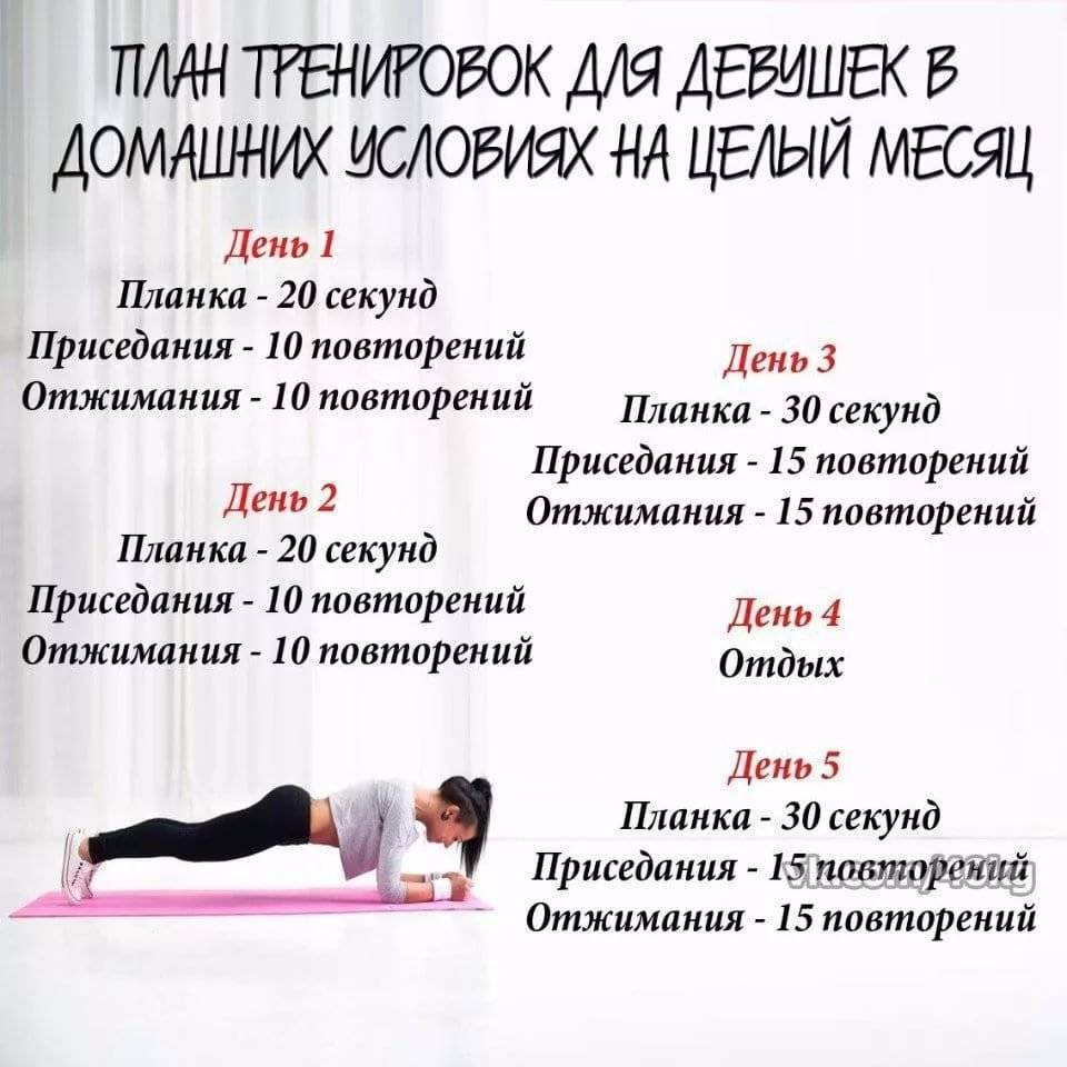 Как правильно составить программу тренировок для девушки