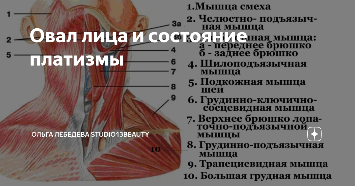 Упражнения для подтяжки овала лица и обвисших щек
упражнения для подтяжки овала лица и обвисших щек