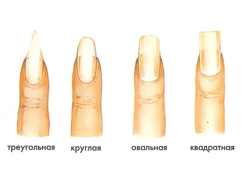 Маникюр, который удлиняет ногти и исправляет форму: 25 идей, 5 ошибок и 1 секрет. и это не френч! -фото — модный дизайн ногтей