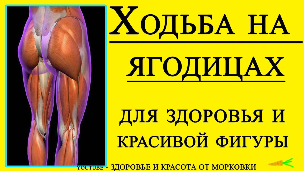 Хождение на ягодицах: техника и польза упражнения для женщин