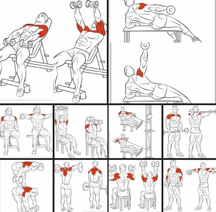 Сексуальная спина: тренировка спины для девушек от джесси хильгенберг