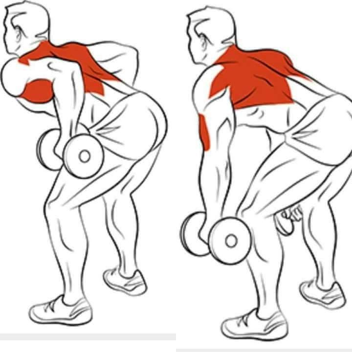 Тяга гантели к поясу в наклоне: базовое упражнение для роста спины