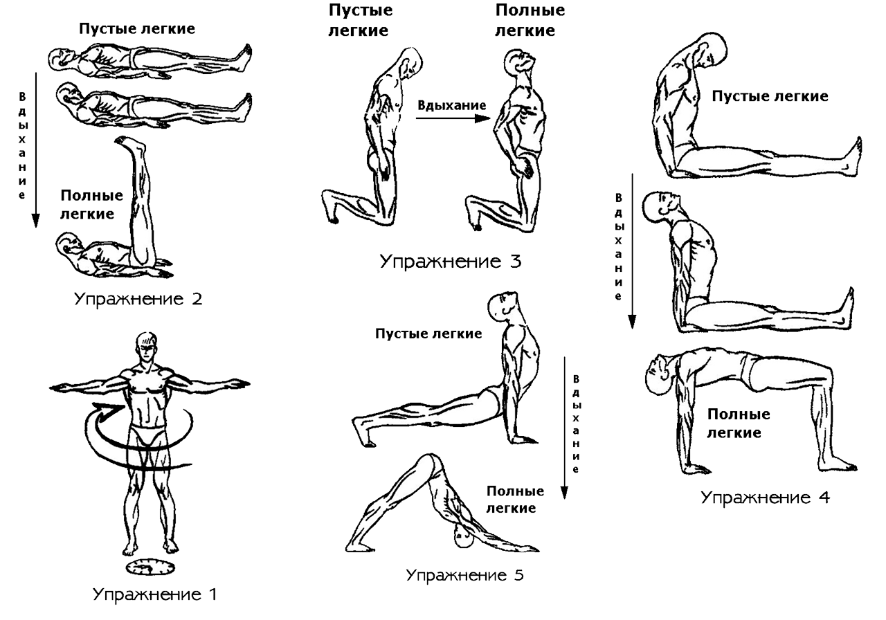 7 Жемчужин Тибета упражнения. Пять тибетцев гимнастика 5 упражнений. Око Возрождения 5 тибетских упражнений. 6 Тибетских жемчужин упражнения. Физзарядка 7