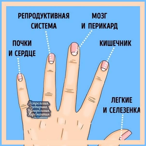 Лунки на ногтях: что означают, особенности строения, советы по уходу и маникюру ногтей. | vrednuga.ru