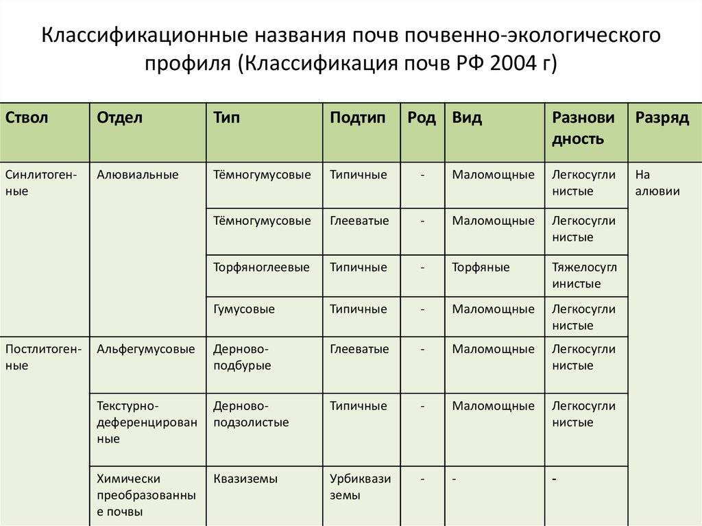 Структура волос