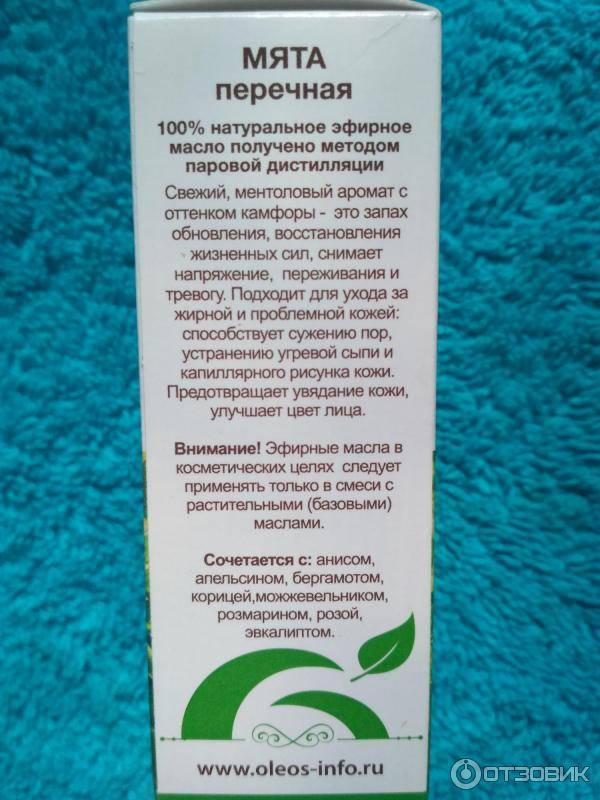 Масло мяты: свойства, применение, отзывы