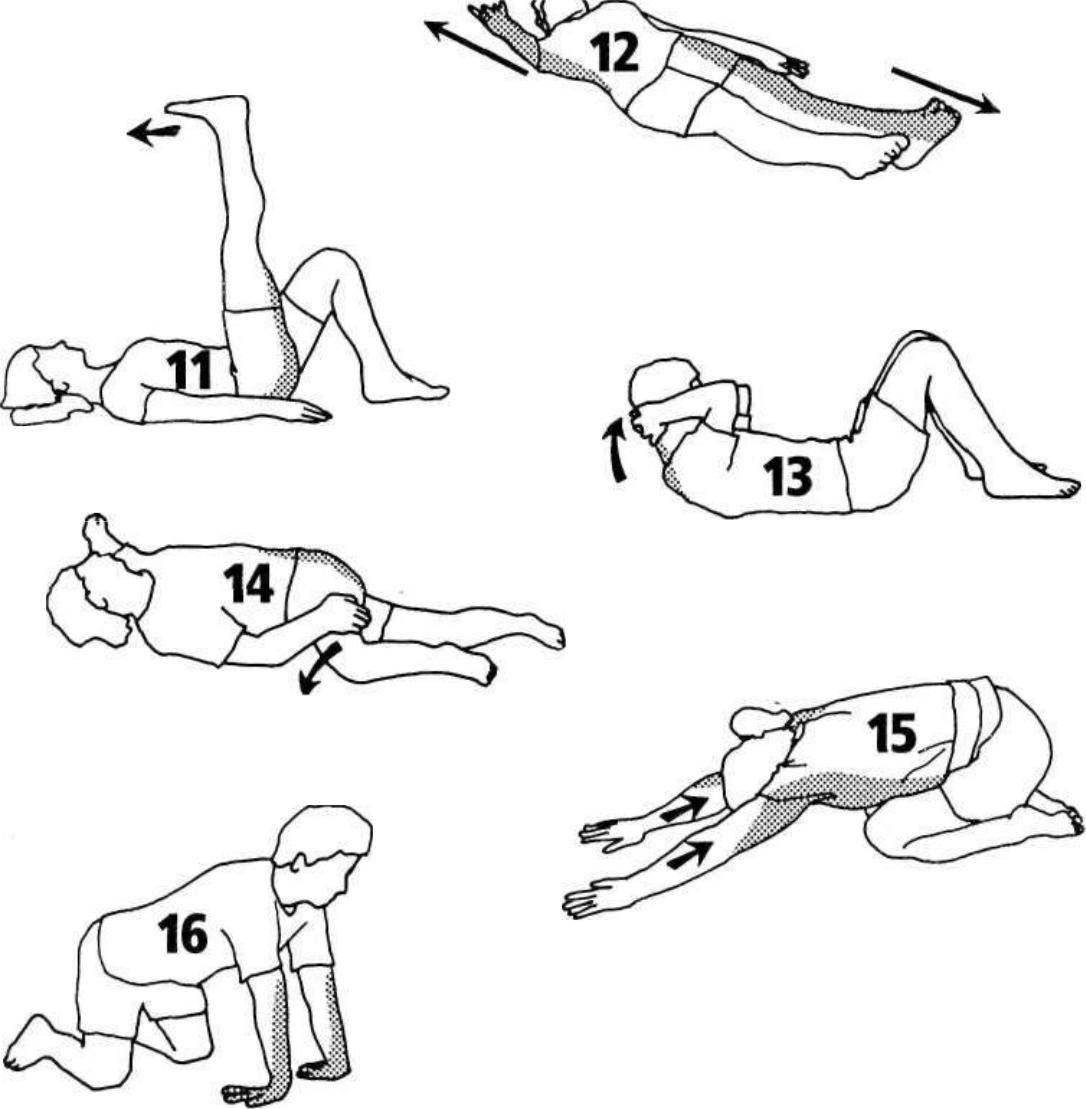 Растяжка мышц спины: упражнения, не требующие тренажеров!