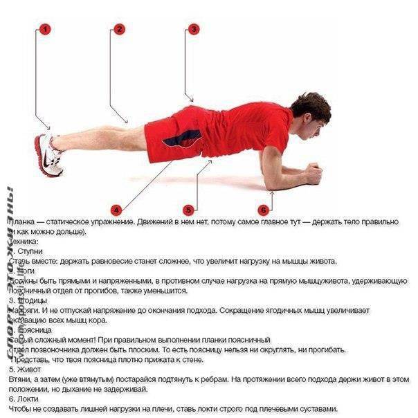 Статические упражнения для развития мышц и улучшения рельефа