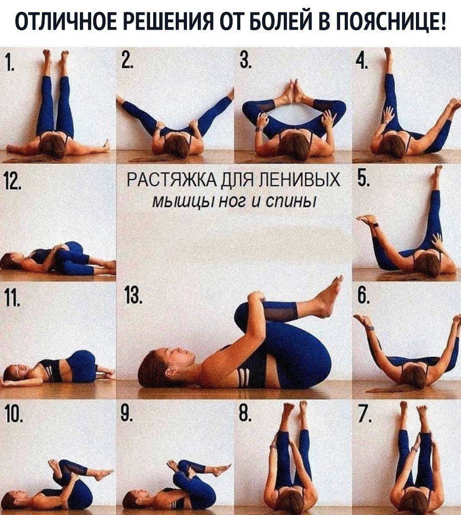 Упражнения для растяжки спины и позвоночника для начинающих