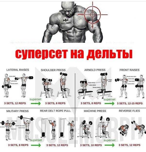 Джессика путнам о том, как накачать красивые дельтовидные мышцы