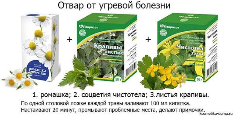 ᐉ какие травы помогут в лечении себореи. рецепты от перхоти с алоэ, корнем лопуха, крапивой, чистотелом, ромашкой и другими лекарственными растениями. - salonvanila.ru
