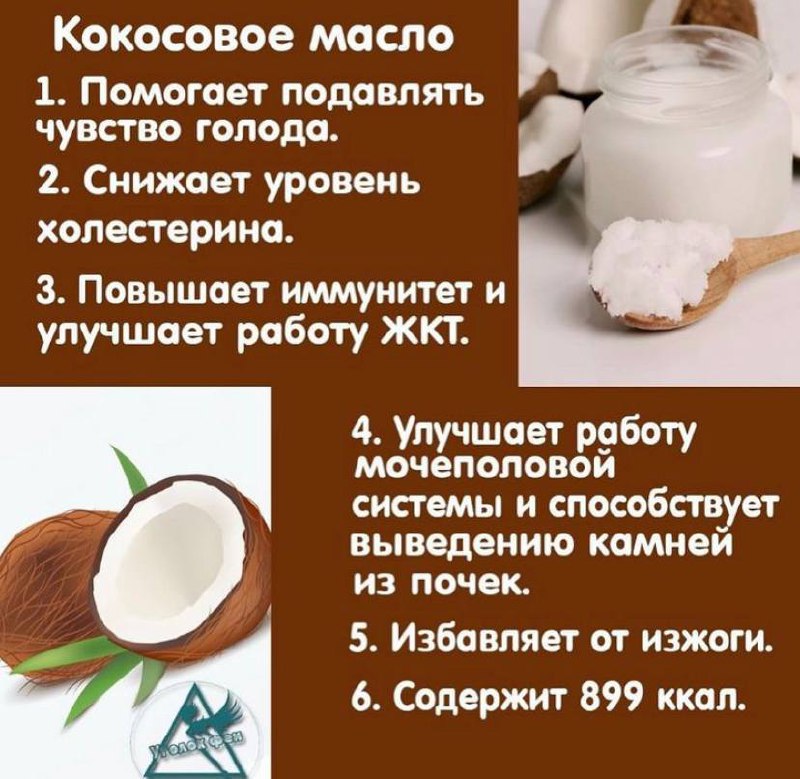 Кокосовое масло для еды: пищевое применение, польза и возможный вред, как применять в кулинарии, с чем употреблять, приготовление напитков, можно ли жарить?