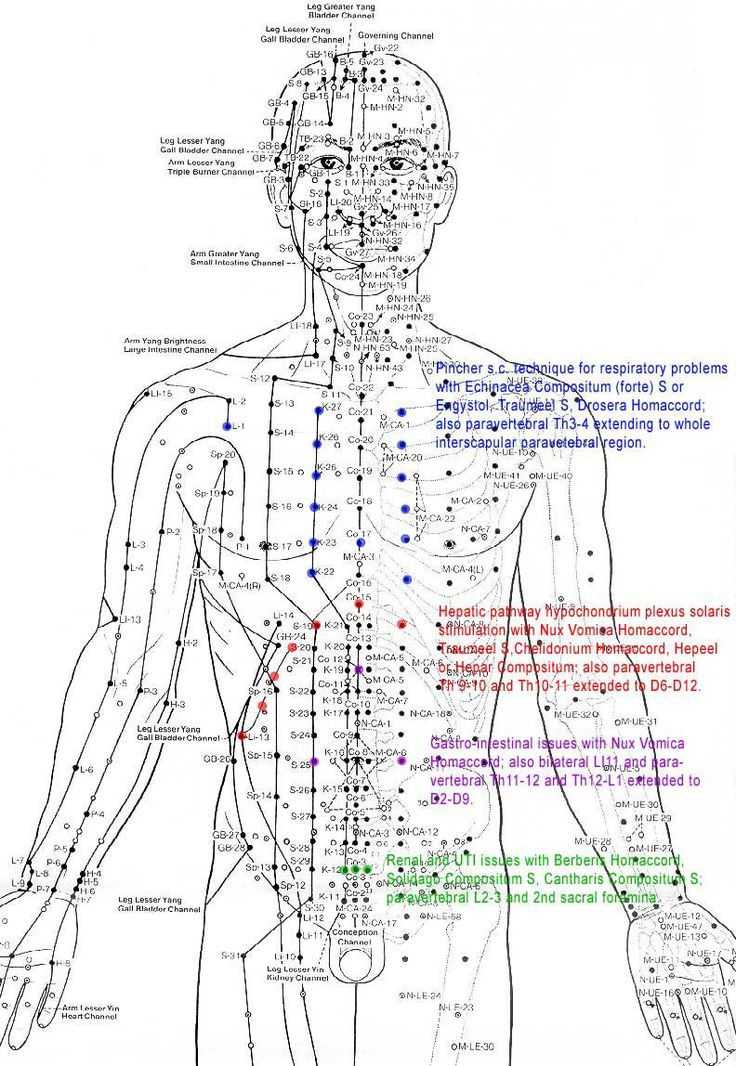 Лечебный массаж спины - показания, виды, техники и отзывы