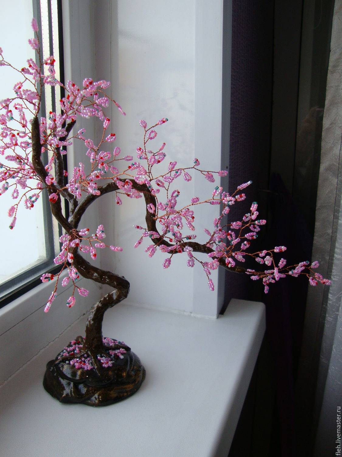 Декоративная японская вишня, сорта, виды и выращивание