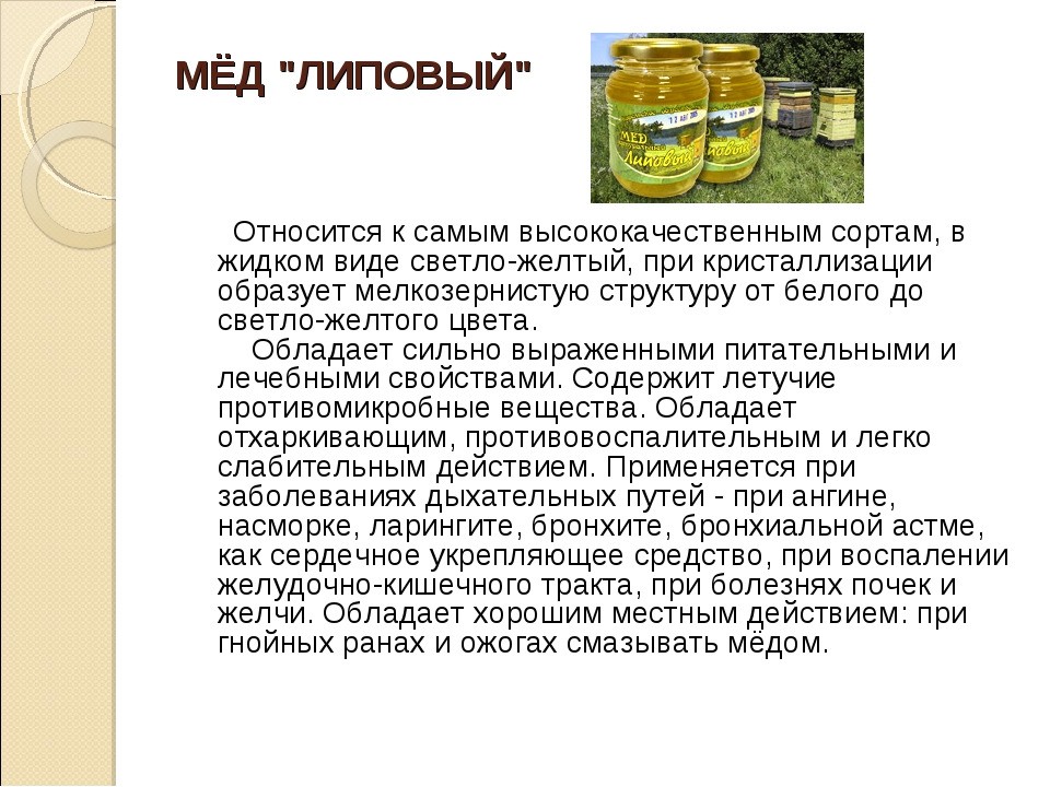 Рапсовый мед: польза и вред, как выбрать натуральный продукт, хранить и употреблять в лечебных целях