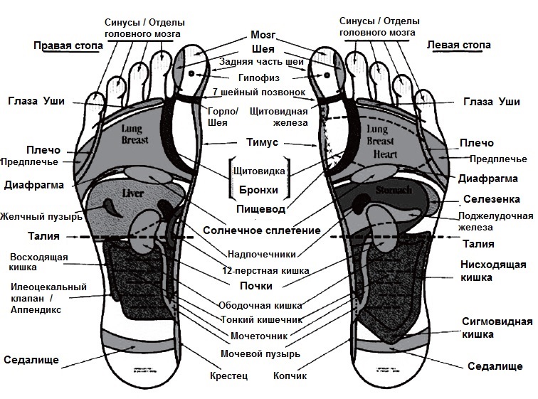 Акупунктурные точки на стопе человека схема расположения фото