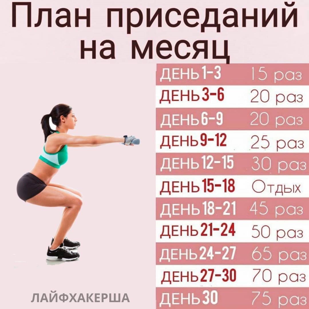Реально ли накачать попу дома? комплекс упражнений для ягодиц в домашних условиях - tony.ru