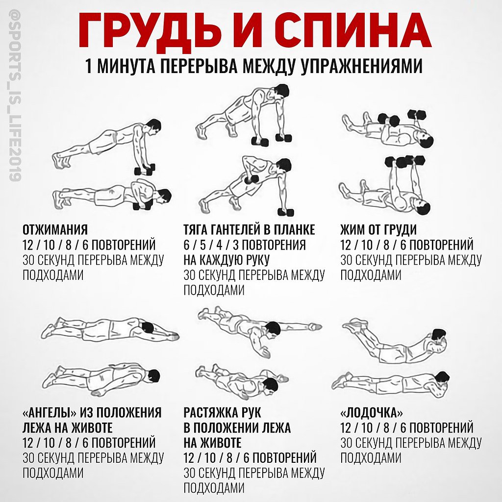 Упражнения на спину в тренажерном зале и дома, в том числе с гантелями и штангой, комплекс для укрепления мышц для девушек и мужчин