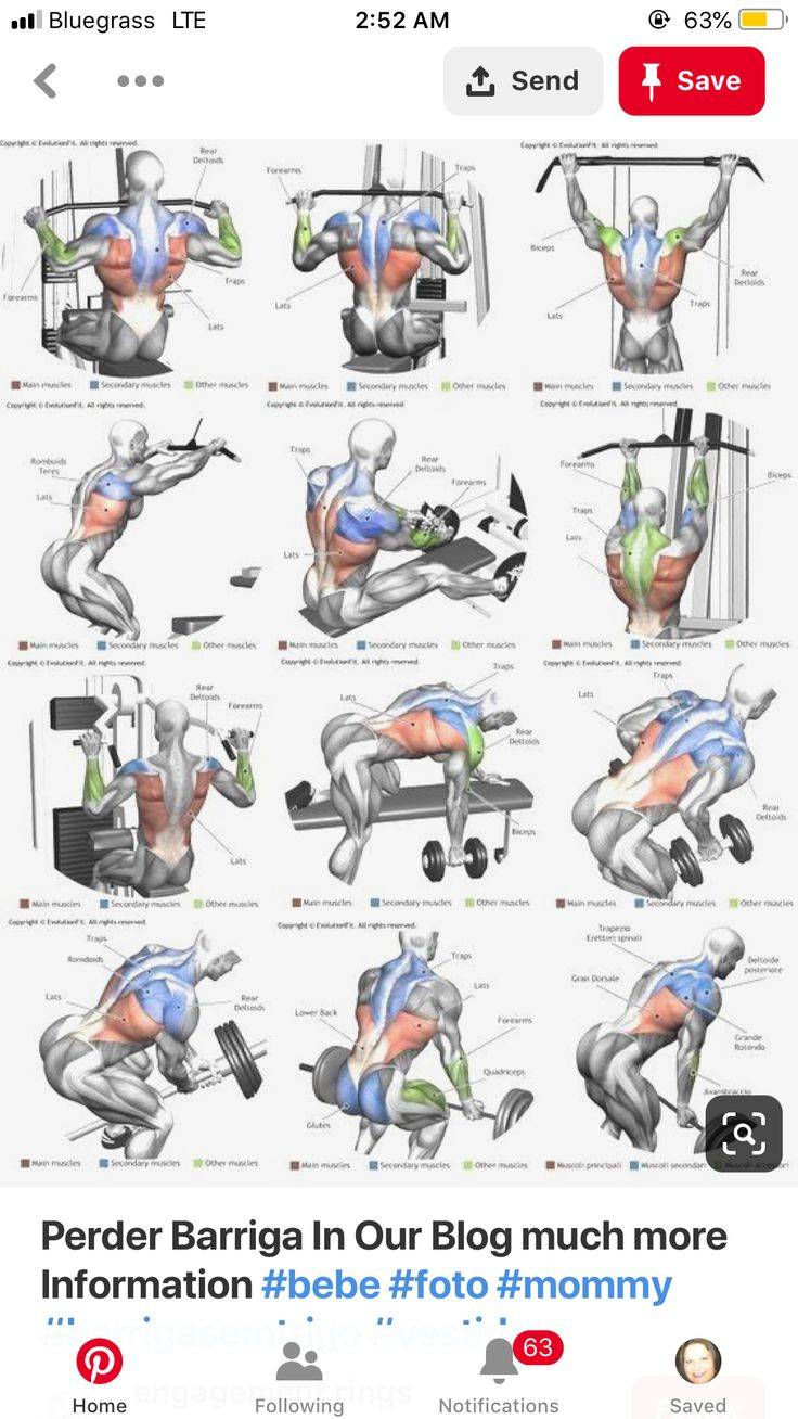 15 лучших упражнений для тренировки спины в тренажерном зале