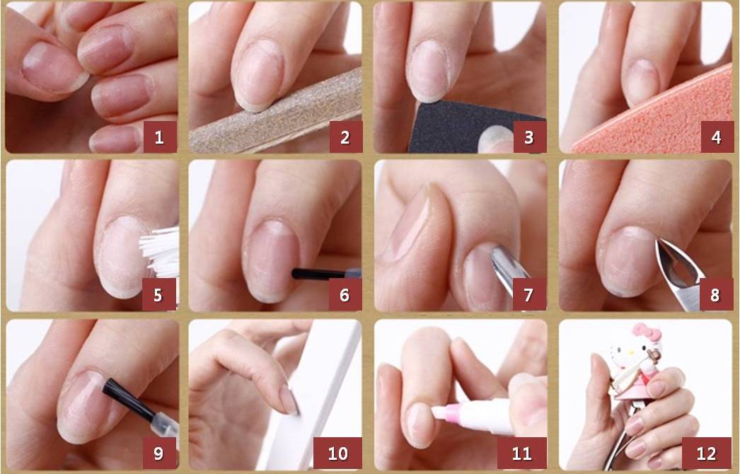 Описание и схемы строения ногтя и ногтевой пластины. как они растут?