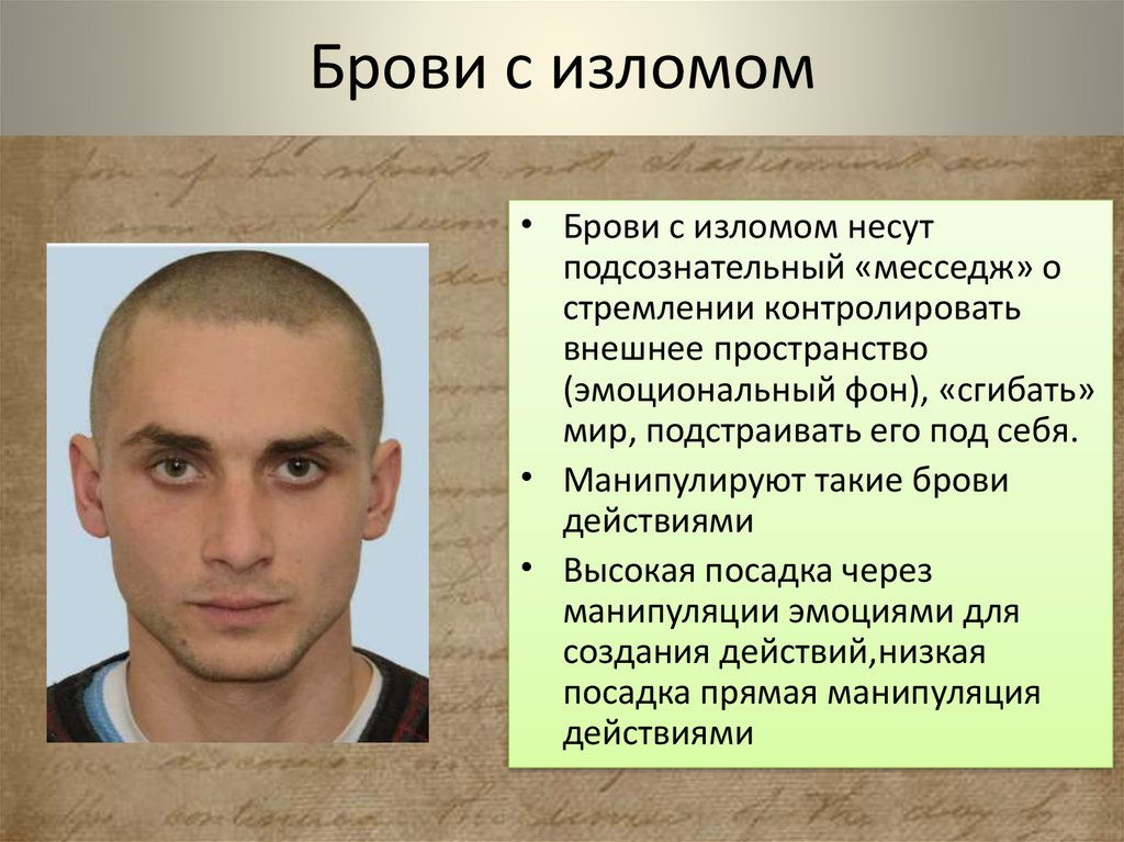 Какие у вас брови — такой и характер! просто посмотрите