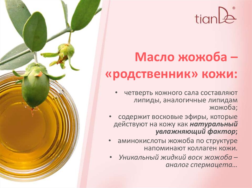 Масло для лица от морщин — какое выбрать и как правильно применять