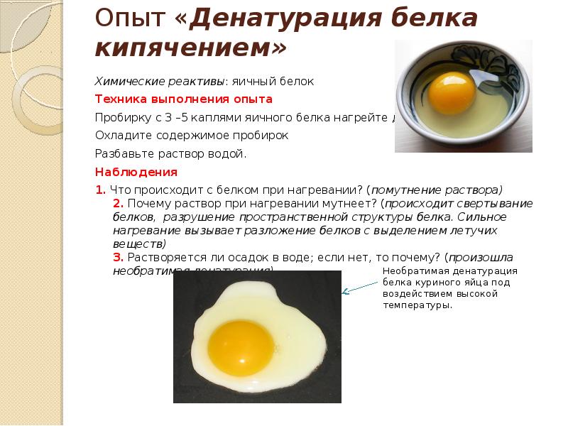 Чем полезна маска с яйцом для волос и как ее правильно готовить и применять в домашних условиях?капелита