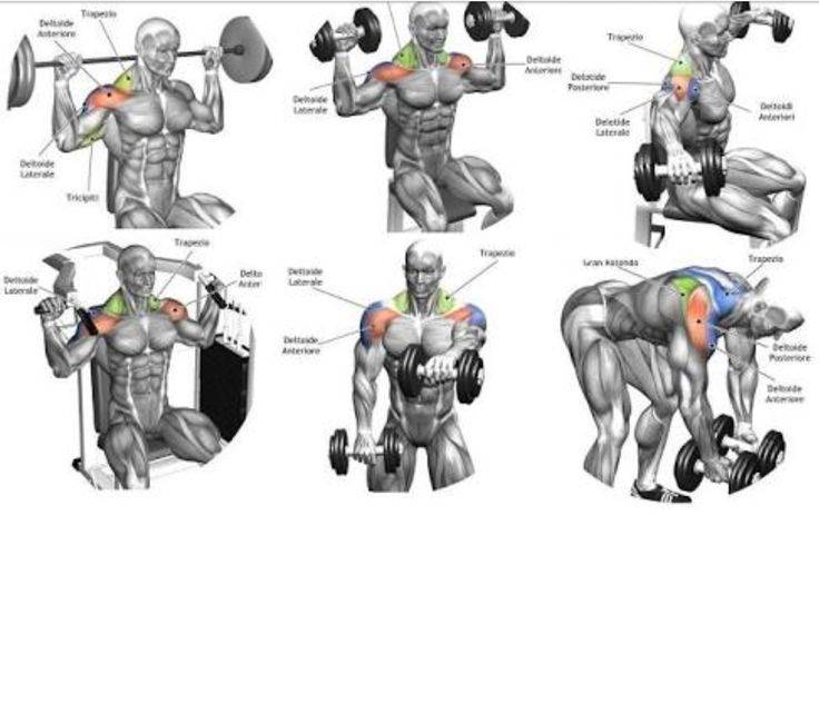Как накачать плечи гирей 16 кг: мощный комплекс упражнений