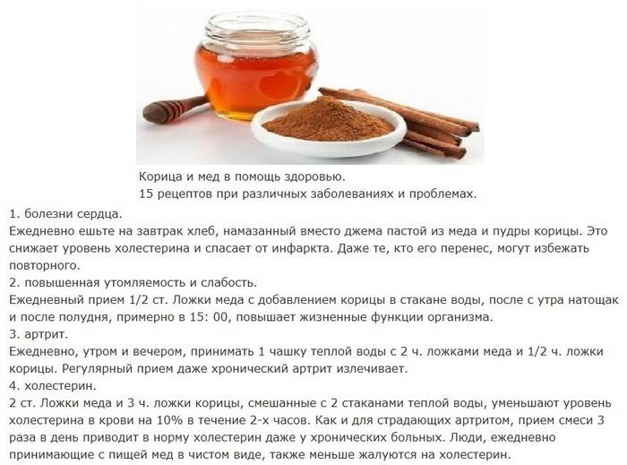 Лишний вес и мед: сколько съесть, чтобы похудеть? - 7дней.ру