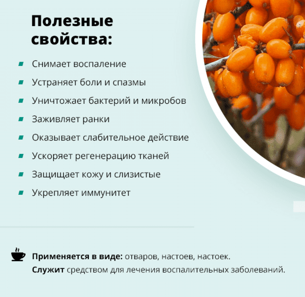 Как использовать облепиховое масло для лица: маски и отзывы