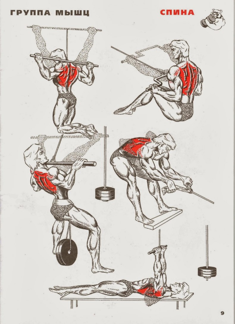 Как правильно качать спину в тренажерном зале (инструкция)